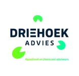 Driehoek Advies